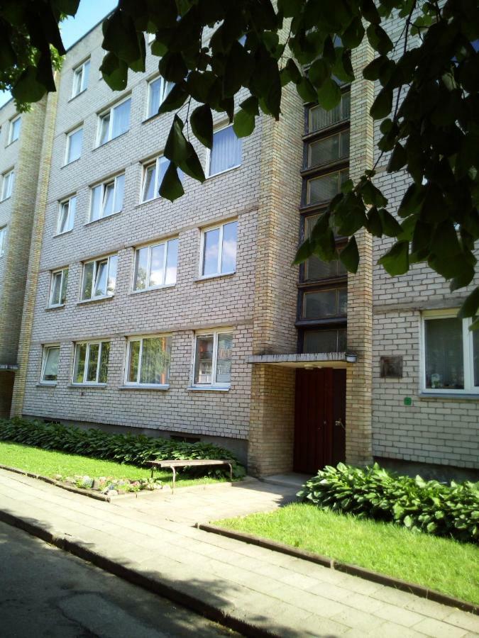 Nakvyne Anyksciu Centre Apartment Anykščiai Екстериор снимка